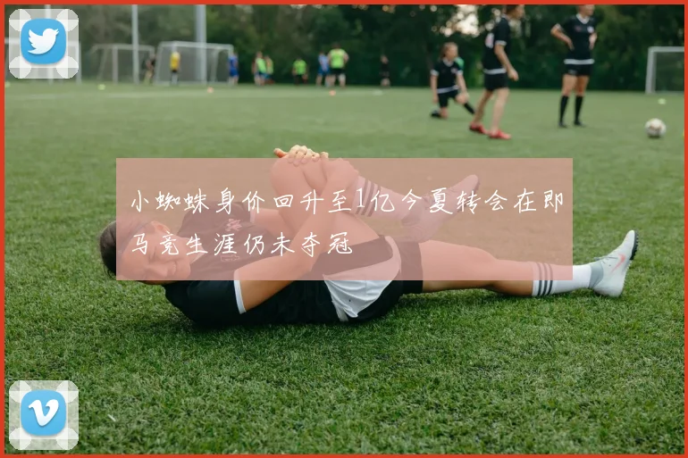 小蜘蛛身价回升至1亿今夏转会在即马竞生涯仍未夺冠