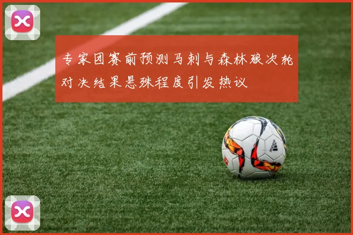 专家团赛前预测马刺与森林狼次轮对决结果悬殊程度引发热议