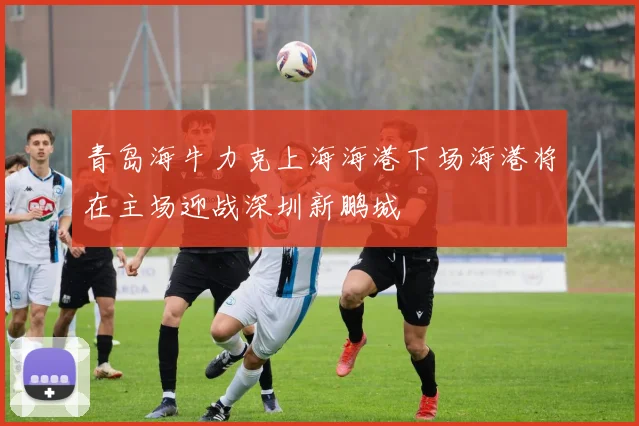 青岛海牛力克上海海港下场海港将在主场迎战深圳新鹏城